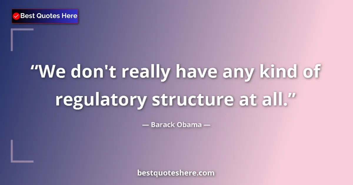 Image for the quote by Barack Obama: We don't really have any kind of regulatory structure at all....