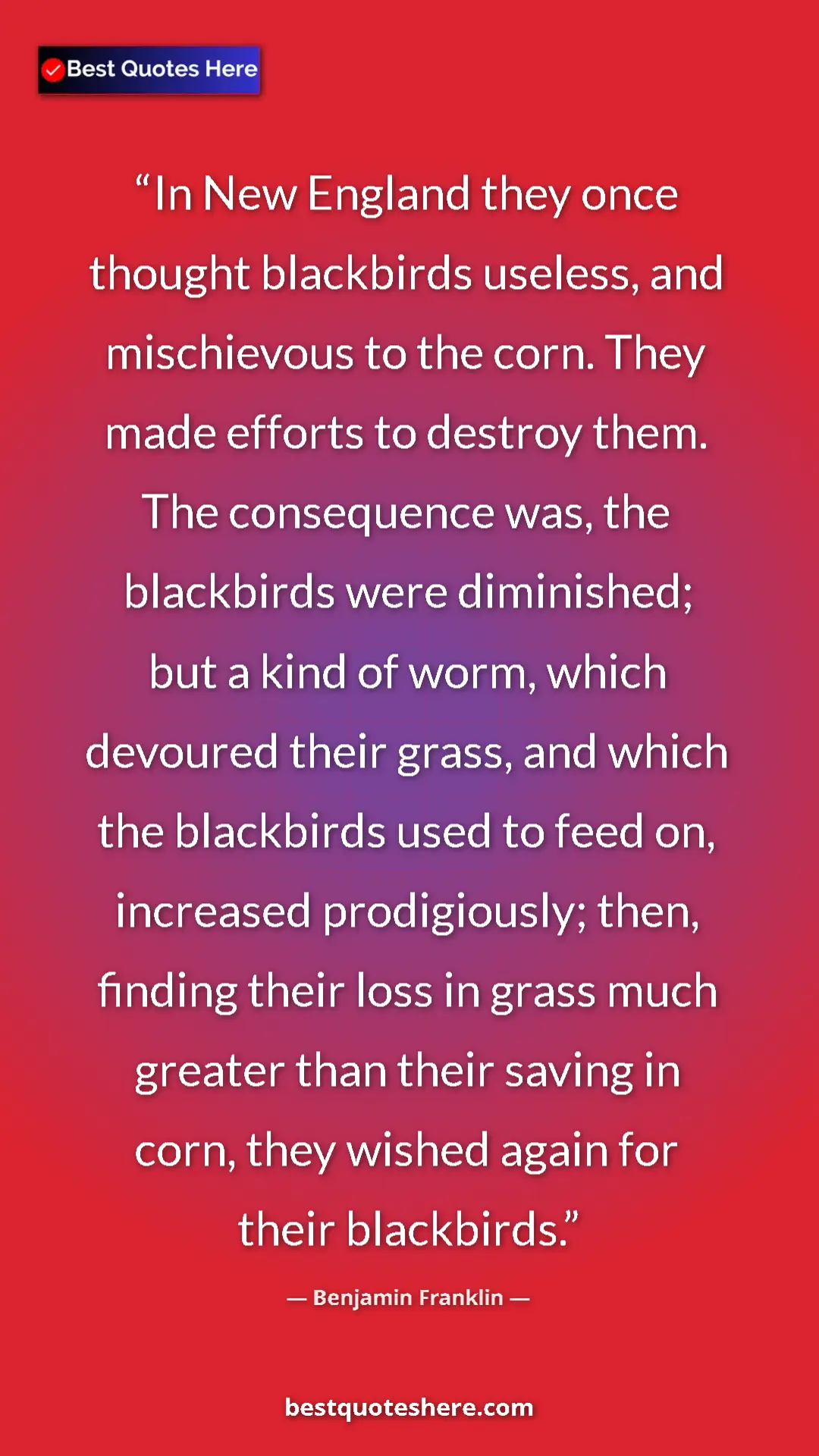 Benjamin Franklin Quote Card: "In New England they once thought blackbirds useless, and..." Pinterest quote poster by Benjamin Franklin: "In New England they once thought blackbirds useless, and..."