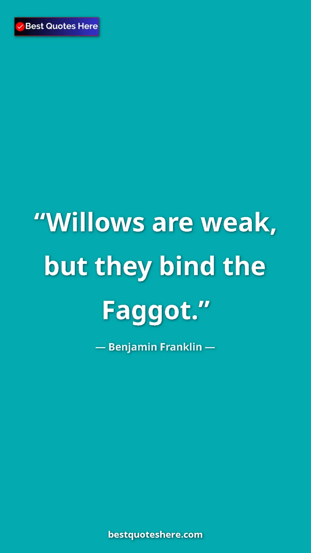 Pinterest quote poster by Benjamin Franklin: "Willows are weak, but they bind the Faggot."