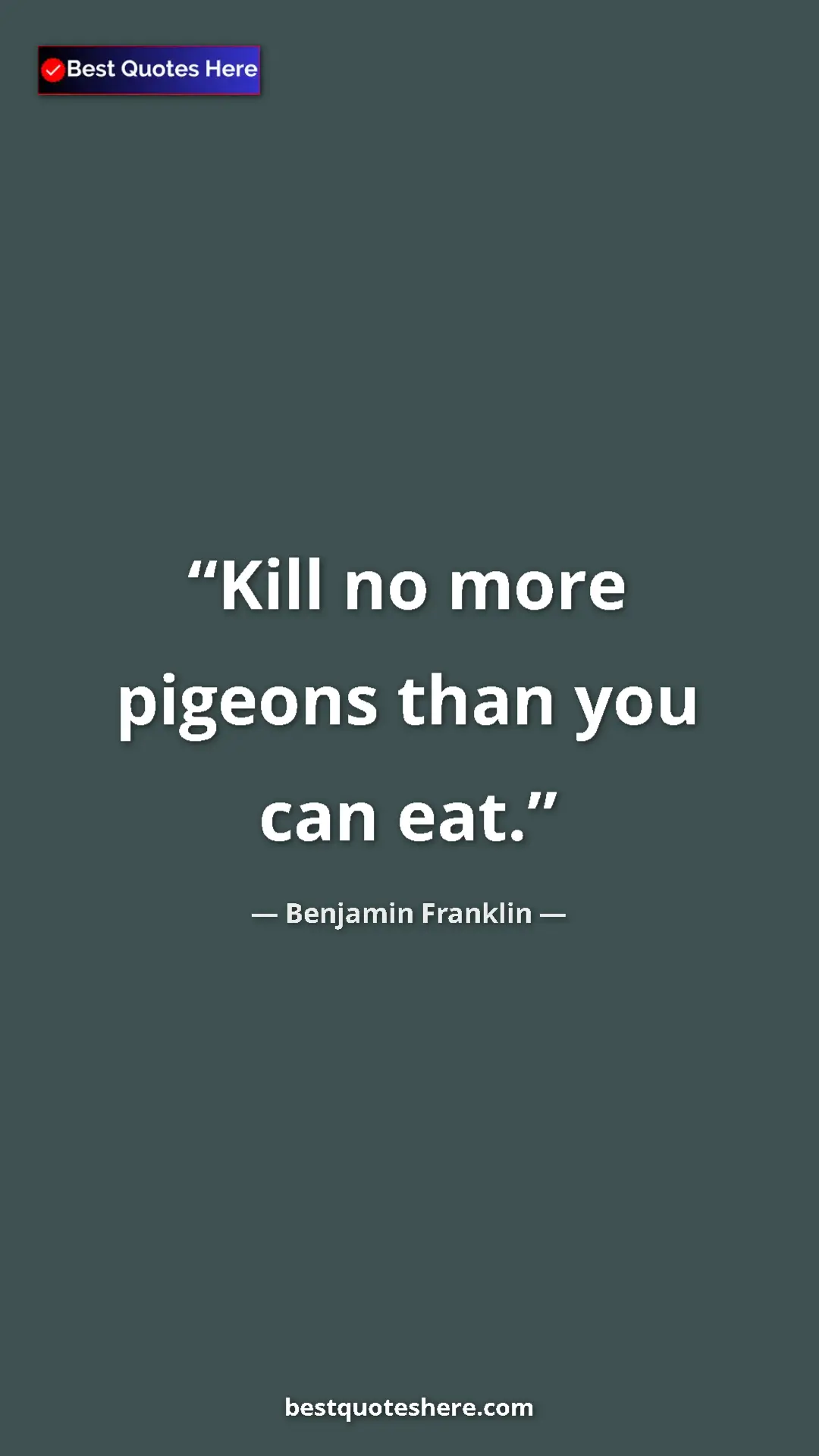 Benjamin Franklin Quote Card: "Kill no more pigeons than you can eat." Pinterest quote poster by Benjamin Franklin: "Kill no more pigeons than you can eat."