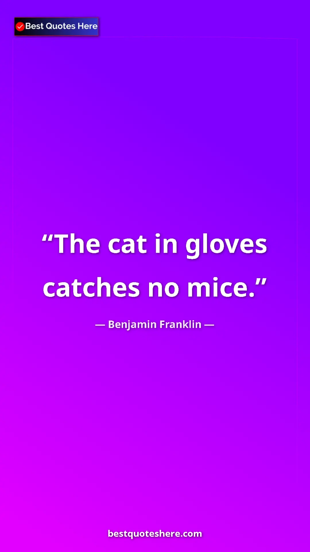 Benjamin Franklin Quote Card: "The cat in gloves catches no mice." Pinterest quote poster by Benjamin Franklin: "The cat in gloves catches no mice."