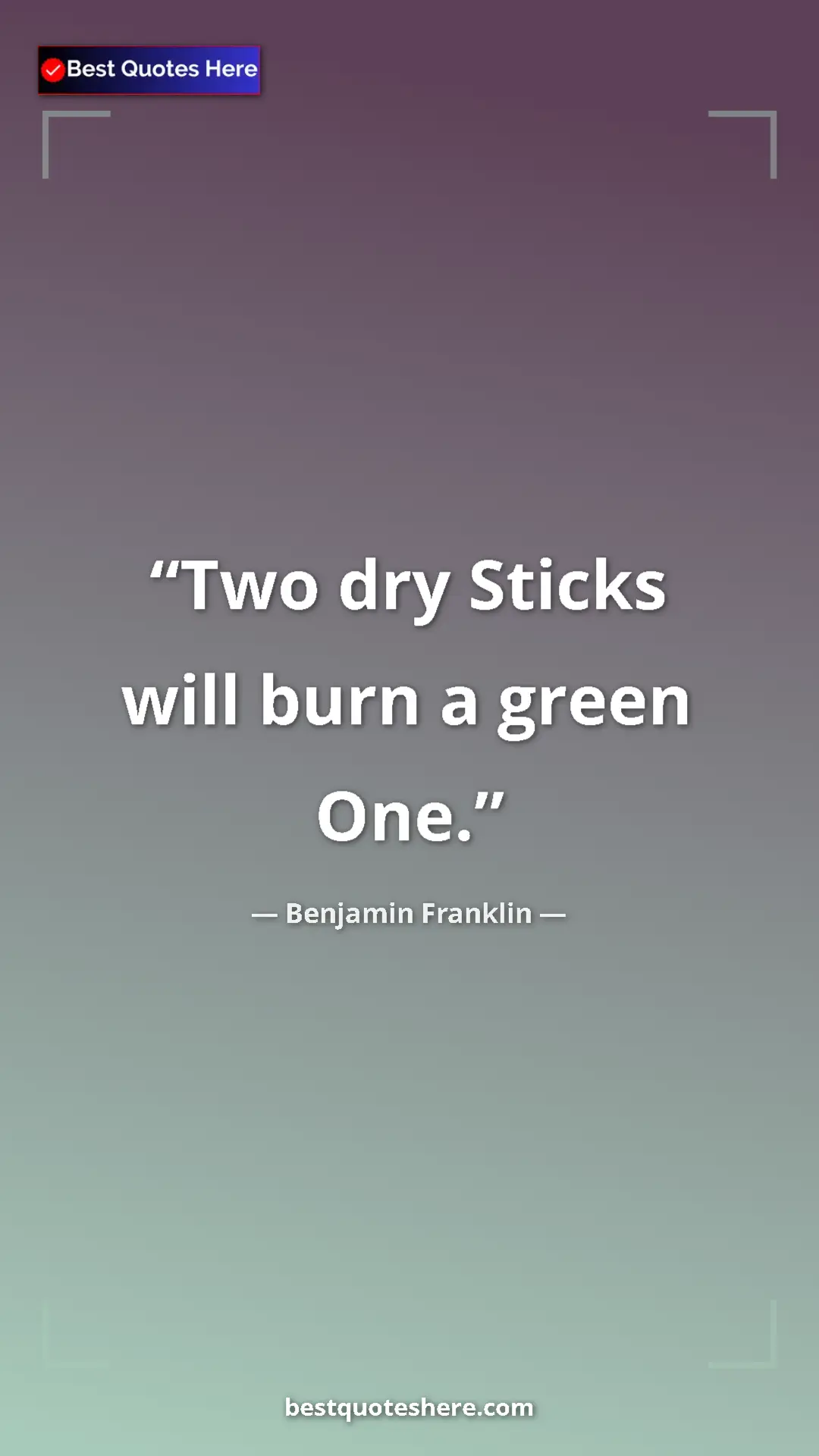 Pinterest quote poster by Benjamin Franklin: "Two dry Sticks will burn a green One."