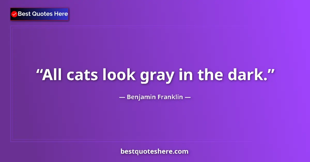 Quote by Benjamin Franklin: All cats look gray in the dark.