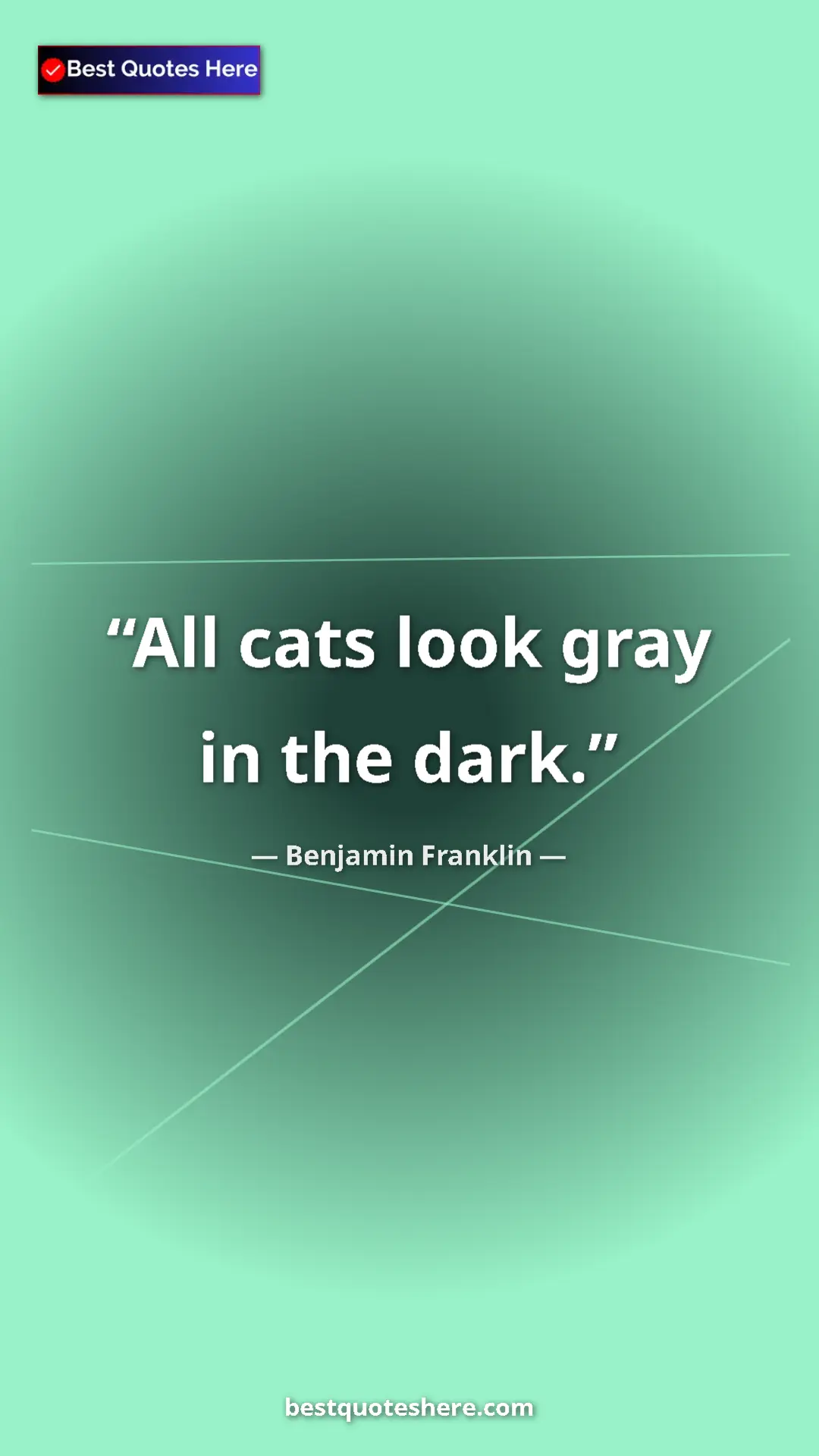 Pinterest quote poster by Benjamin Franklin: "All cats look gray in the dark."