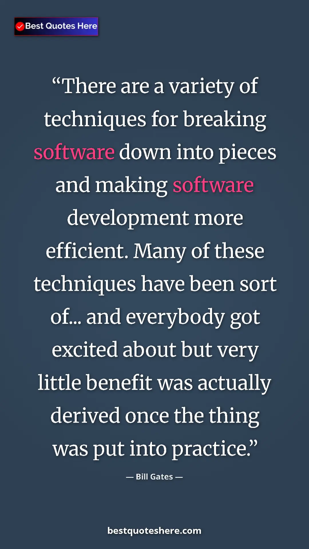 Bill Gates Quote Card: "There are a variety of techniques for breaking software..." Pinterest quote poster by Bill Gates: "There are a variety of techniques for breaking software..."