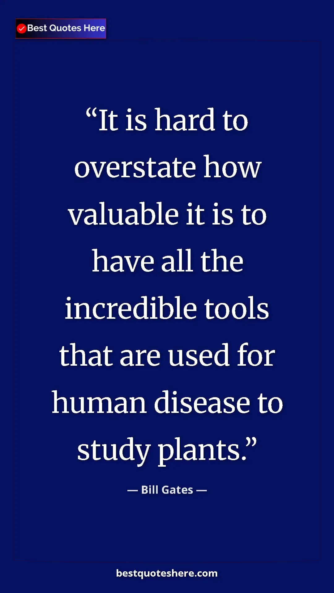 Bill Gates Quote Card: "It is hard to overstate how valuable it is to have all the i" Pinterest quote poster by Bill Gates: "It is hard to overstate how valuable it is to have all the i"
