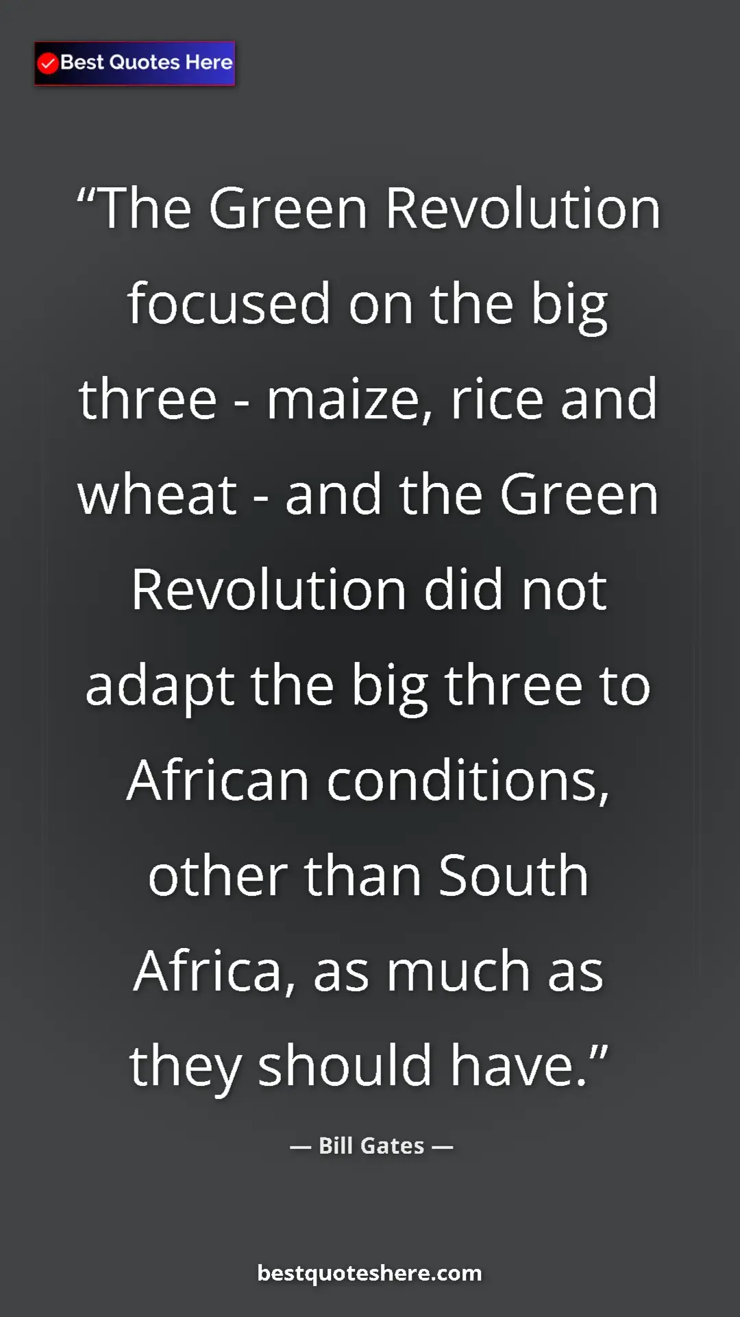 Bill Gates Quote Card: "The Green Revolution focused on the big three - maize, rice..." Pinterest quote poster by Bill Gates: "The Green Revolution focused on the big three - maize, rice..."
