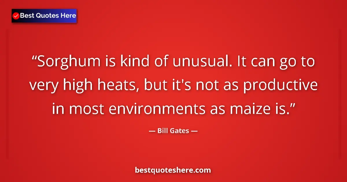Quote by Bill Gates: Sorghum is kind of unusual. It can go to very high heats, but it's not as productive in most environ...