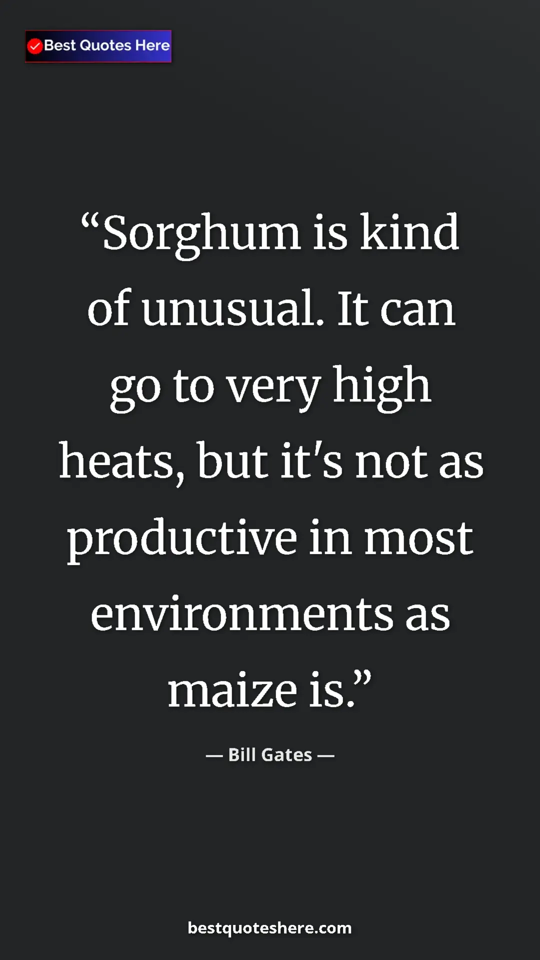 Bill Gates Quote Card: "Sorghum is kind of unusual. It can go to very high heats,..." Pinterest quote poster by Bill Gates: "Sorghum is kind of unusual. It can go to very high heats,..."