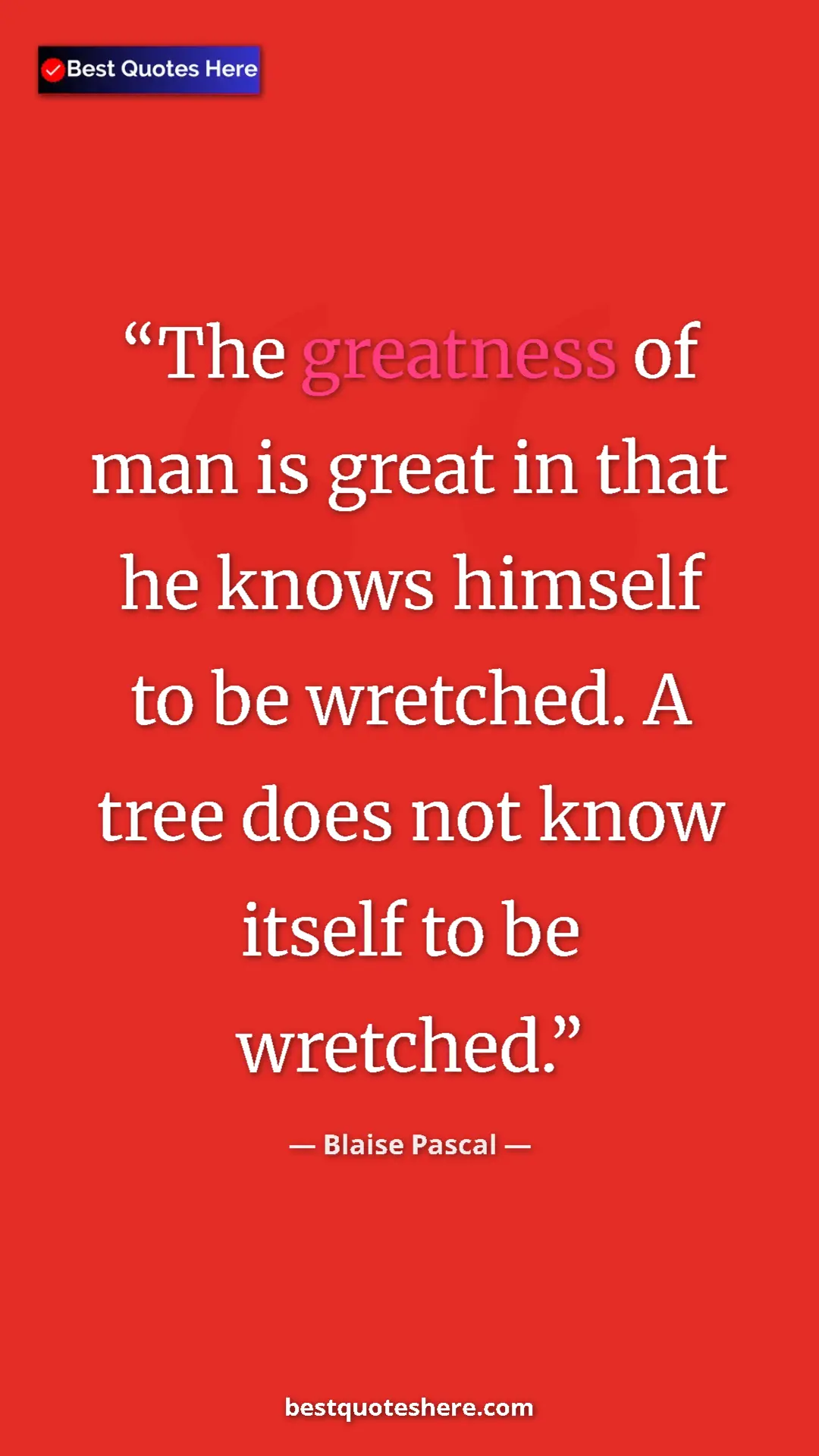 Pinterest quote poster by Blaise Pascal: "The greatness of man is great in that he knows himself to..."