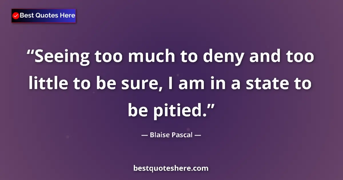 Quote by Blaise Pascal: Seeing too much to deny and too little to be sure, I am in a state to be pitied....
