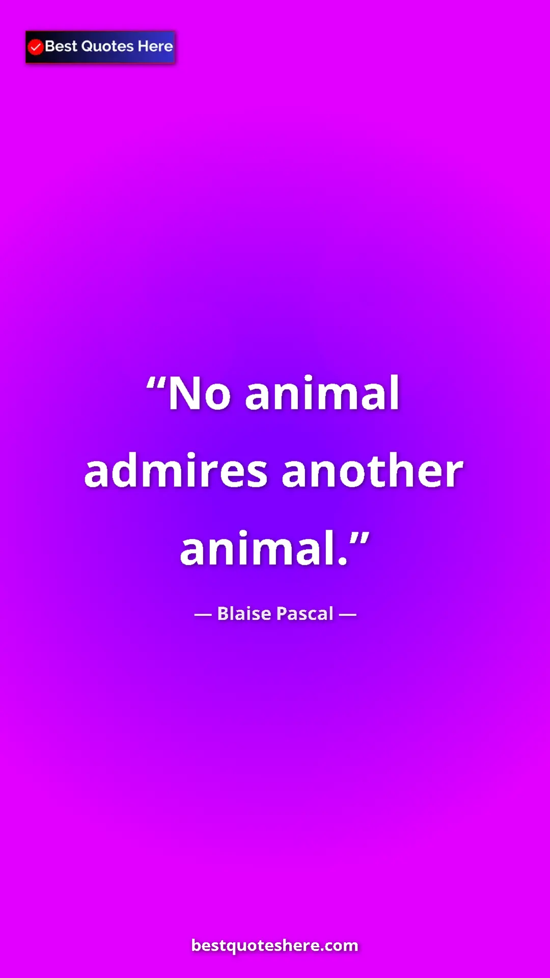 Pinterest quote poster by Blaise Pascal: "No animal admires another animal."