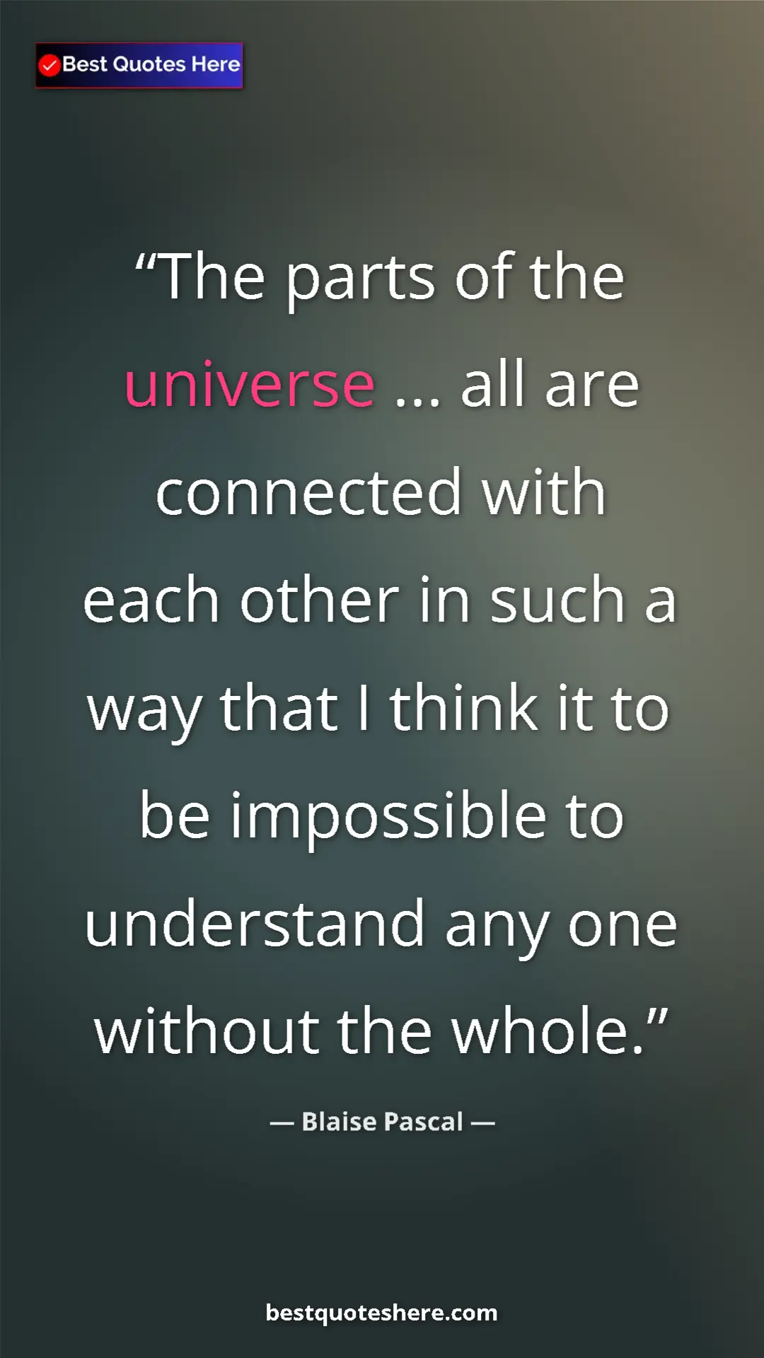 Pinterest quote poster by Blaise Pascal: "The parts of the universe ... all are connected with each..."