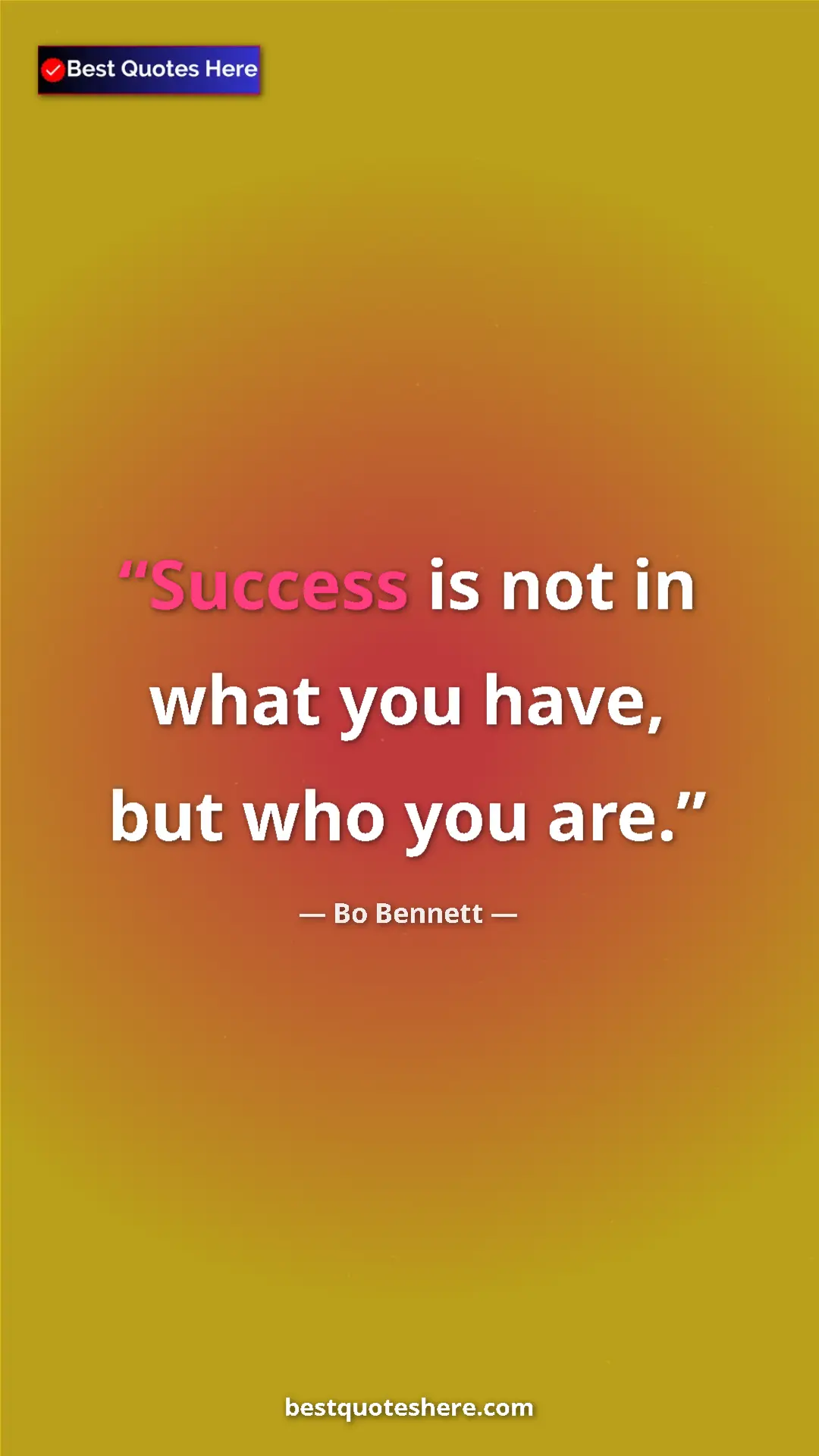 Pinterest quote poster by Bo Bennett: "Success is not in what you have, but who you are."