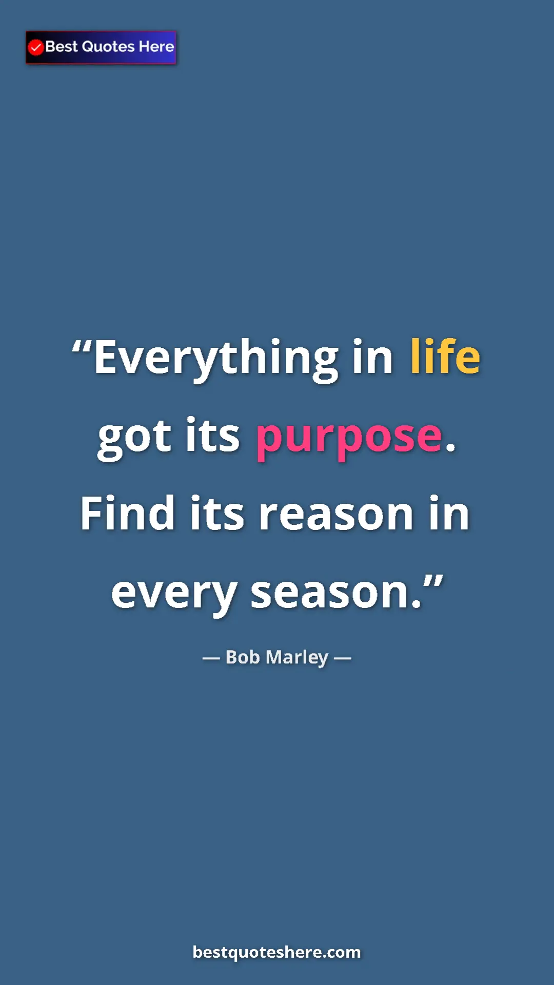 Pinterest quote poster by Bob Marley: "Everything in life got its purpose. Find its reason in..."