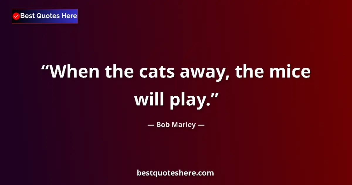 Quote by Bob Marley: When the cats away, the mice will play....