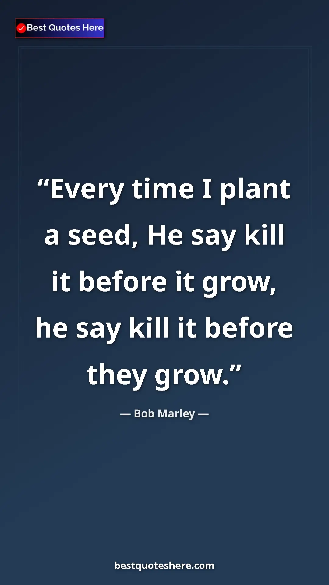 Pinterest quote poster by Bob Marley: "Every time I plant a seed, He say kill it before it grow,..."