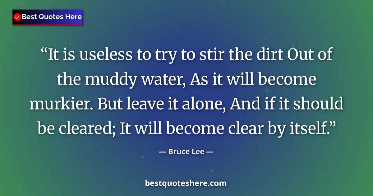 Quote by Bruce Lee: It is useless to try to stir the dirt Out of the muddy water, As it will become murkier. But leave i...