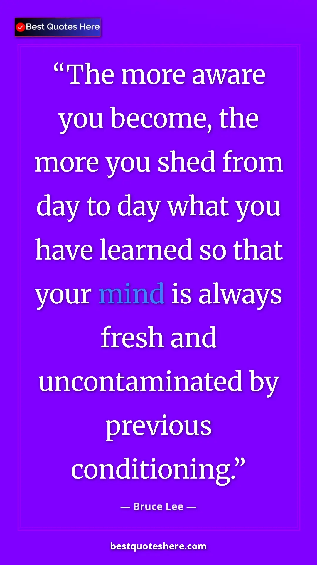 Bruce Lee Quote Card: "The more aware you become, the more you shed from day to..." Pinterest quote poster by Bruce Lee: "The more aware you become, the more you shed from day to..."