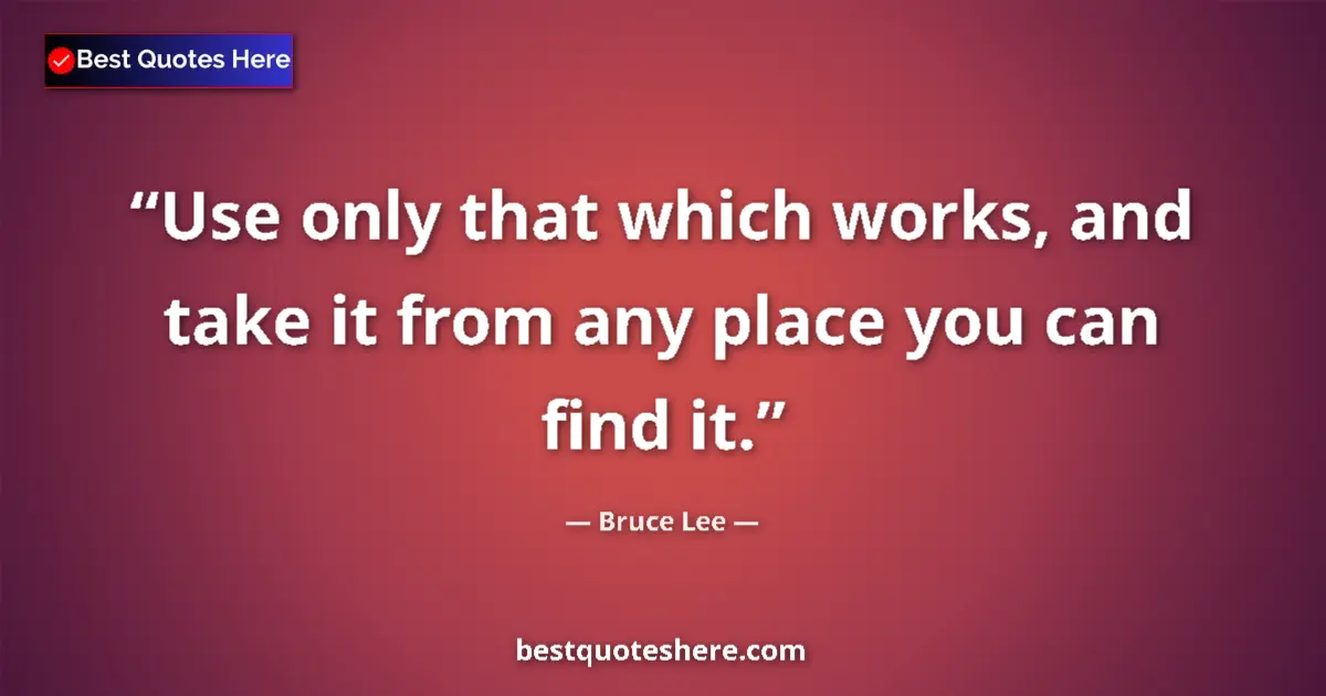 Quote by Bruce Lee: Use only that which works, and take it from any place you can find it....