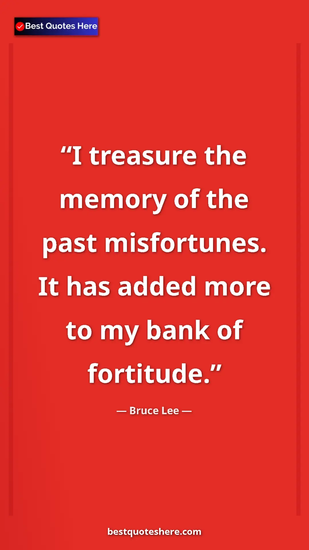Pinterest quote poster by Bruce Lee: "I treasure the memory of the past misfortunes. It has added..."