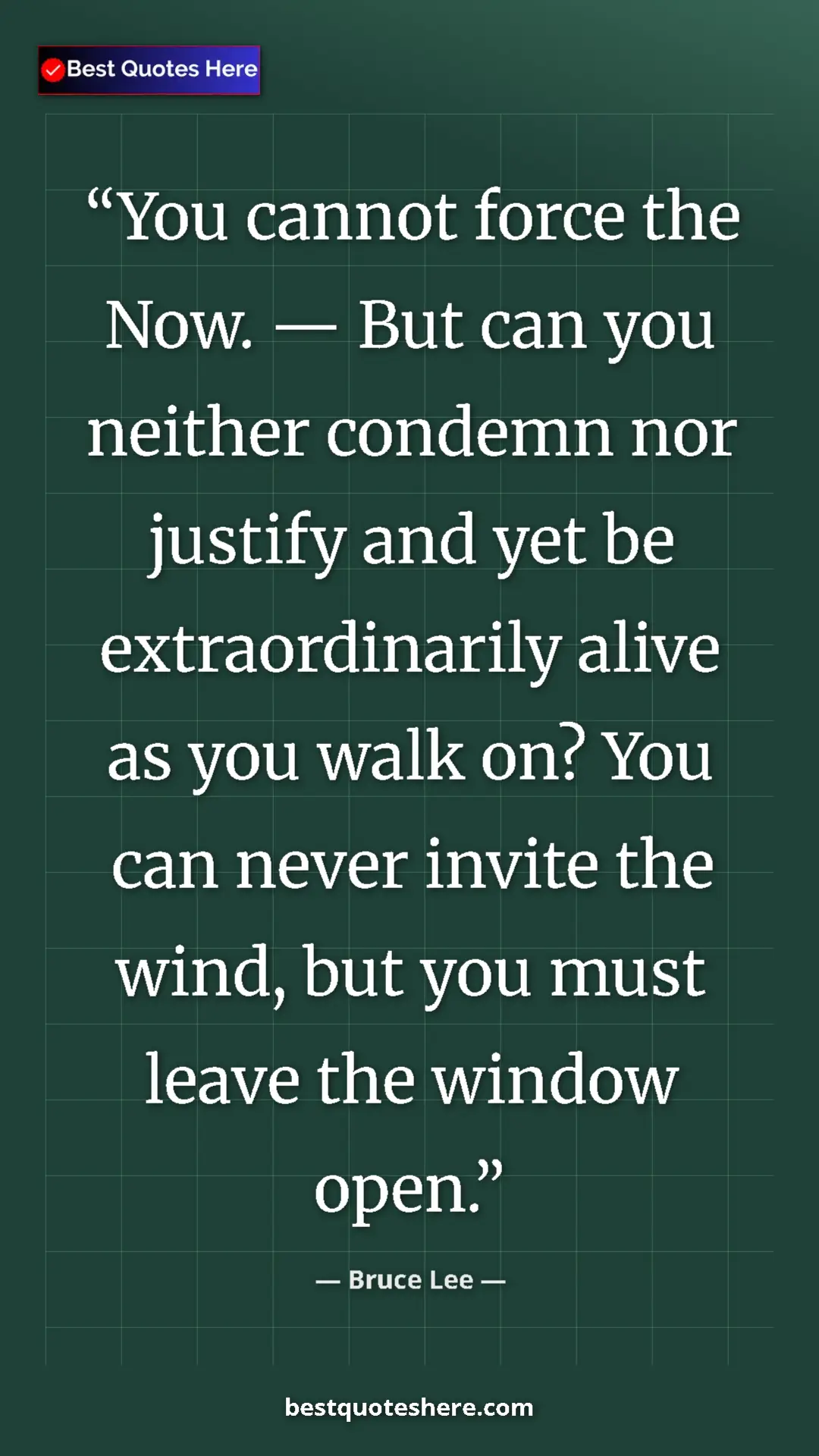 Pinterest quote poster by Bruce Lee: "You cannot force the Now. — But can you neither condemn nor..."
