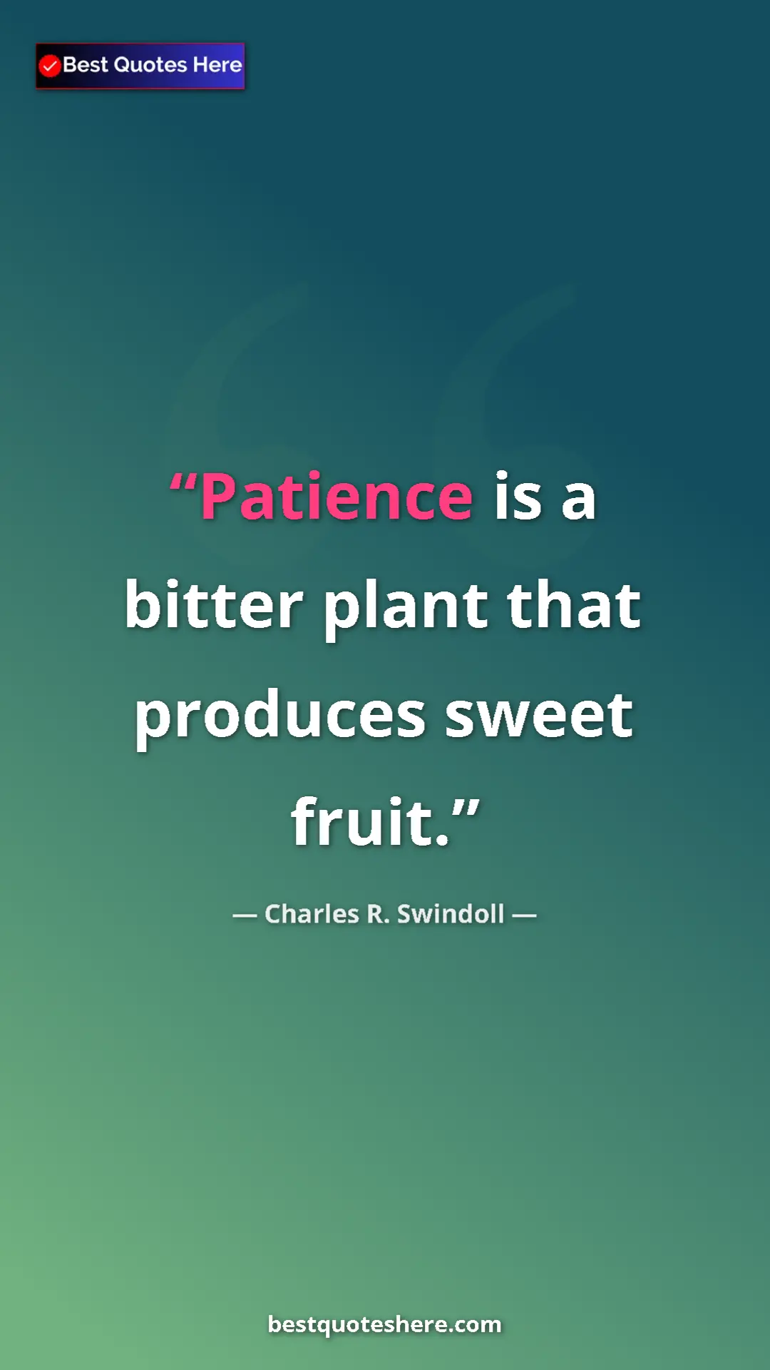 Pinterest quote poster by Charles R. Swindoll: "Patience is a bitter plant that produces sweet fruit."