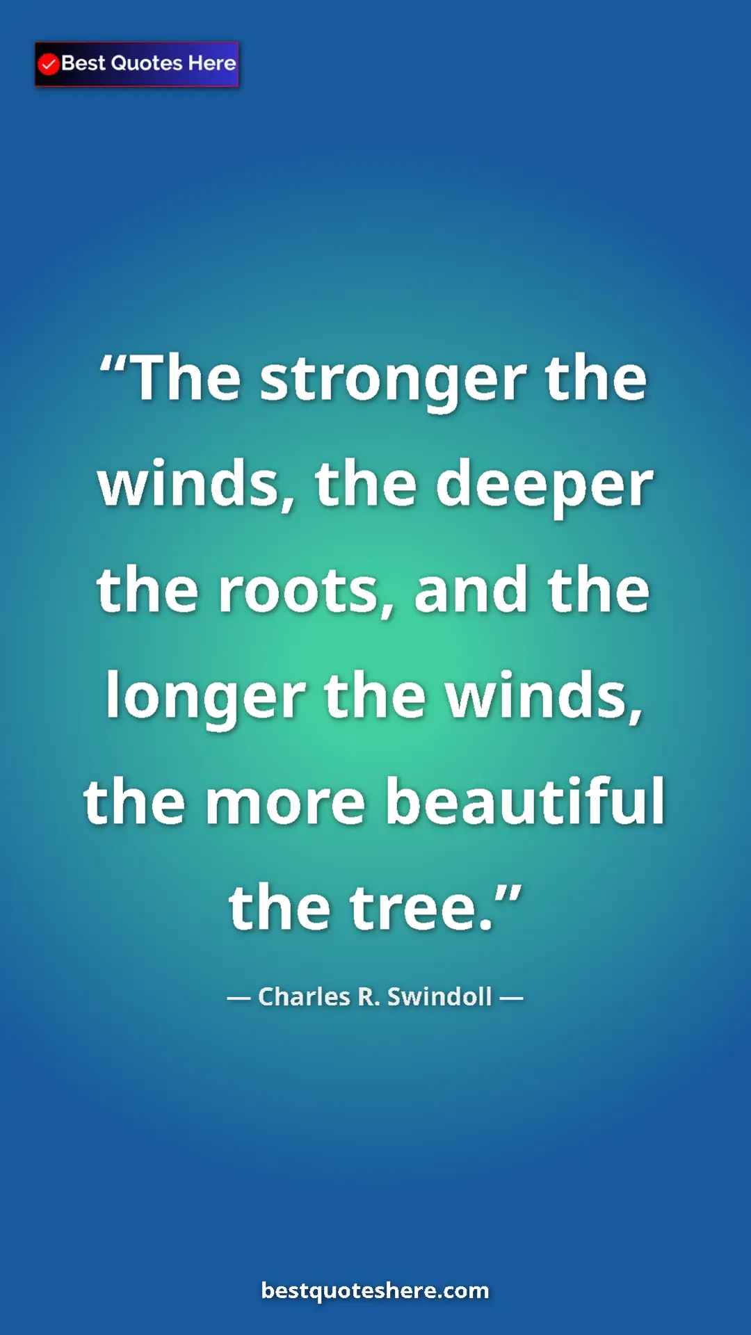 Pinterest quote poster by Charles R. Swindoll: "The stronger the winds, the deeper the roots, and the..."