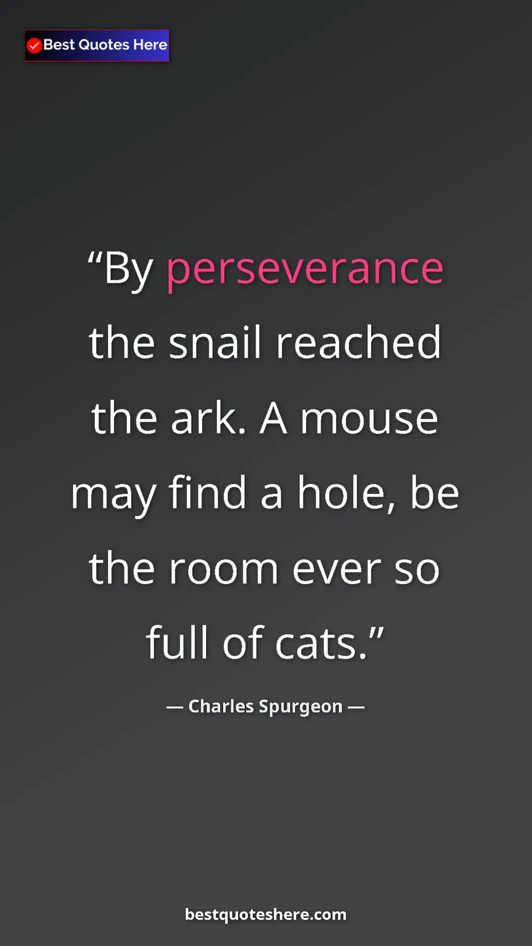 Pinterest quote poster by Charles Spurgeon: "By perseverance the snail reached the ark. A mouse may find..."