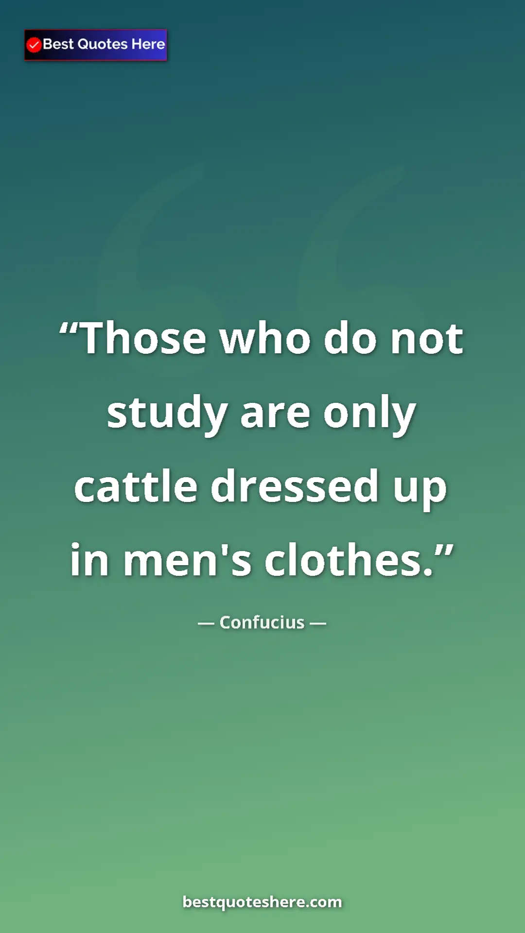 Confucius Quote Card: "Those who do not study are only cattle dressed up in men's..." Pinterest quote poster by Confucius: "Those who do not study are only cattle dressed up in men's..."