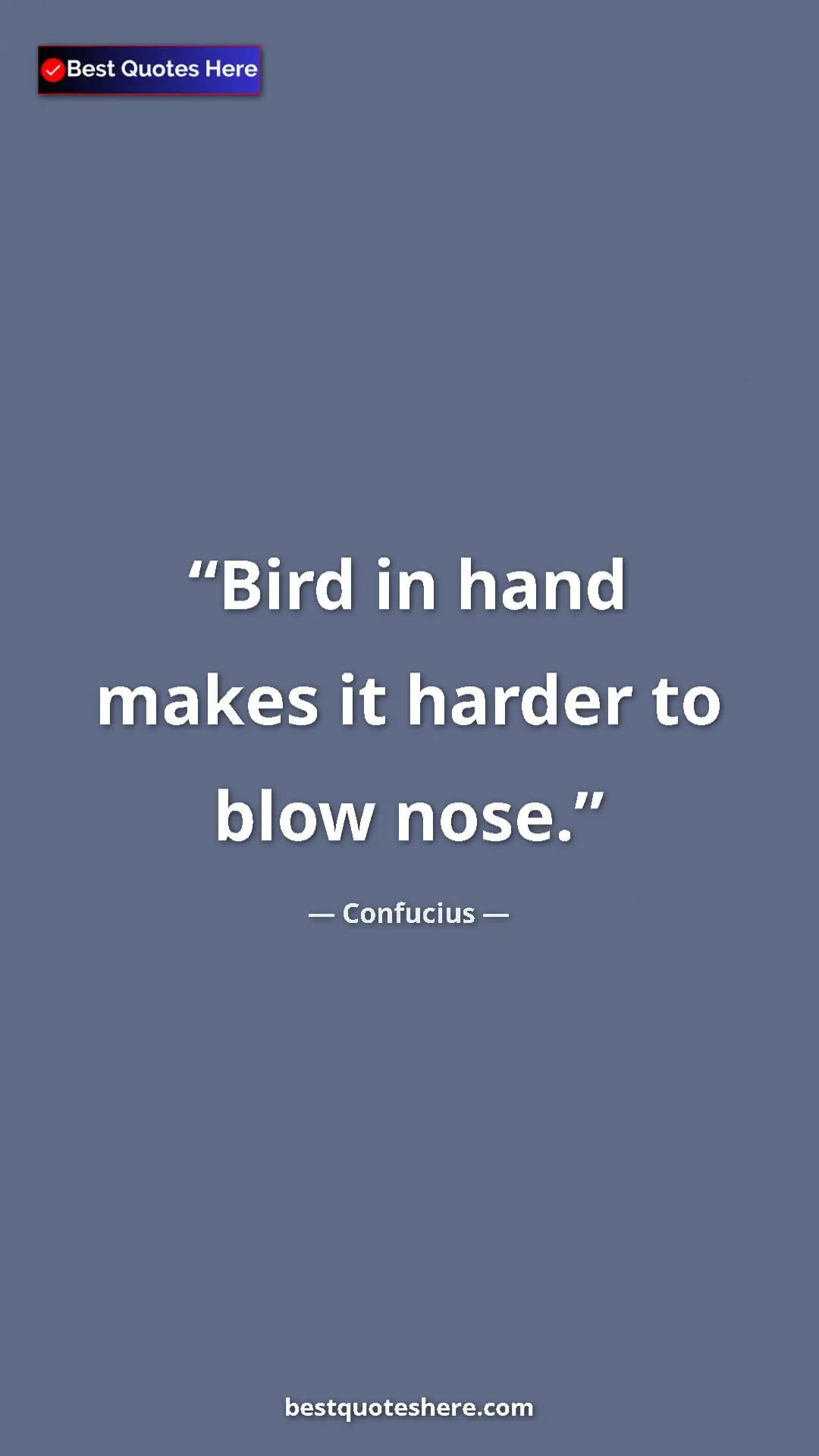 Pinterest quote poster by Confucius: "Bird in hand makes it harder to blow nose."
