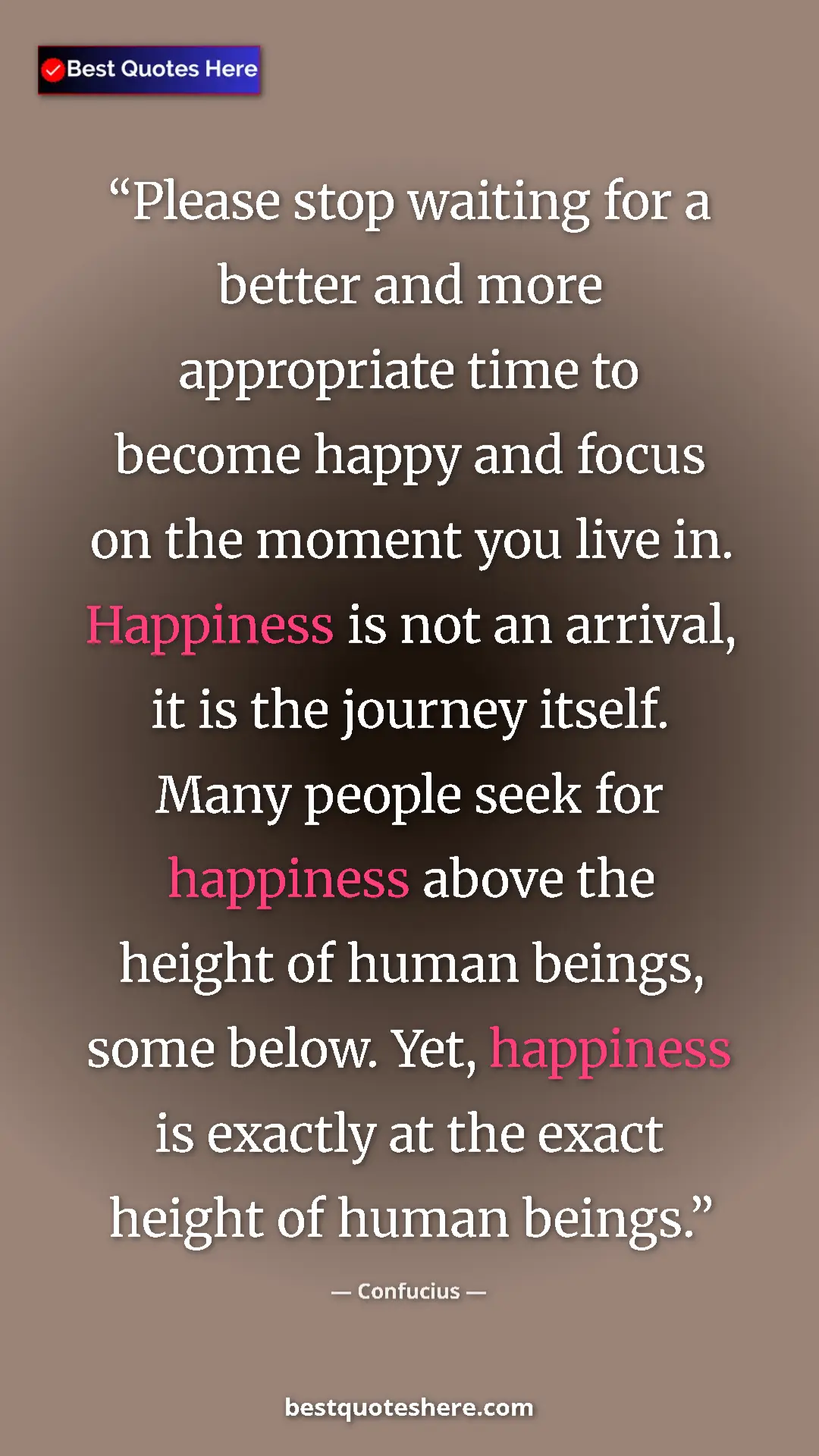 Pinterest quote poster by Confucius: "Please stop waiting for a better and more appropriate time..."