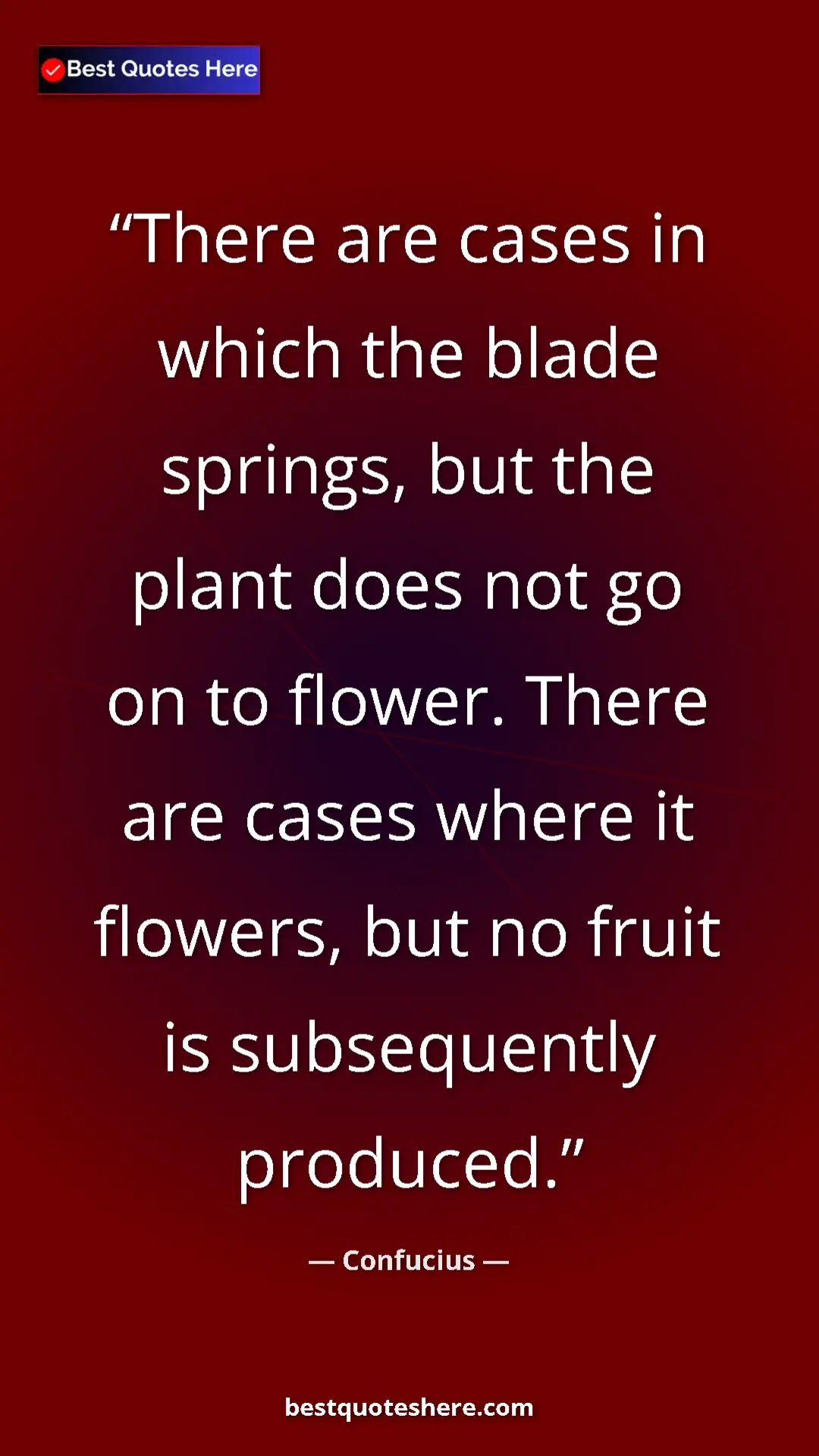 Pinterest quote poster by Confucius: "There are cases in which the blade springs, but the plant..."