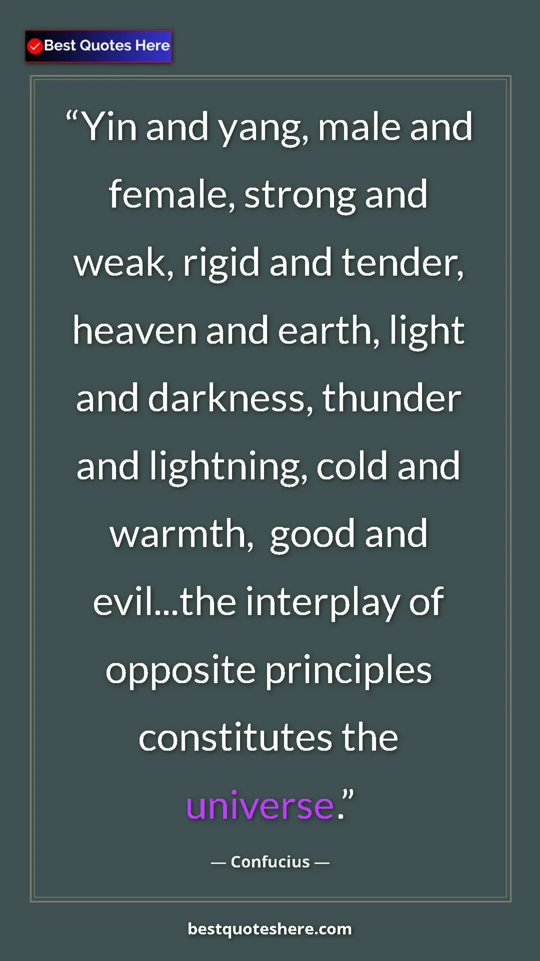 Pinterest quote poster by Confucius: "Yin and yang, male and female, strong and weak, rigid and..."