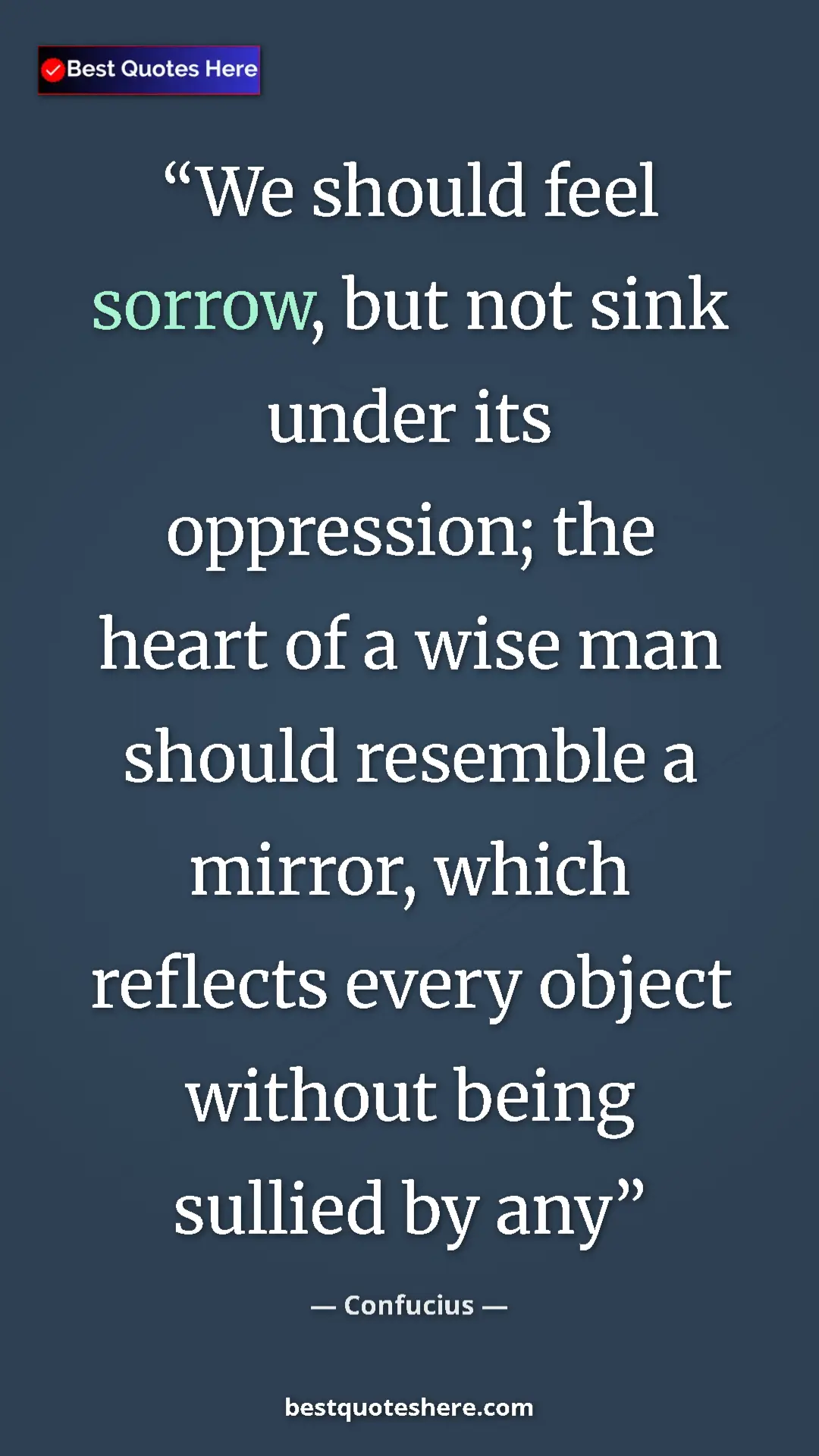Pinterest quote poster by Confucius: "We should feel sorrow, but not sink under its oppression;..."