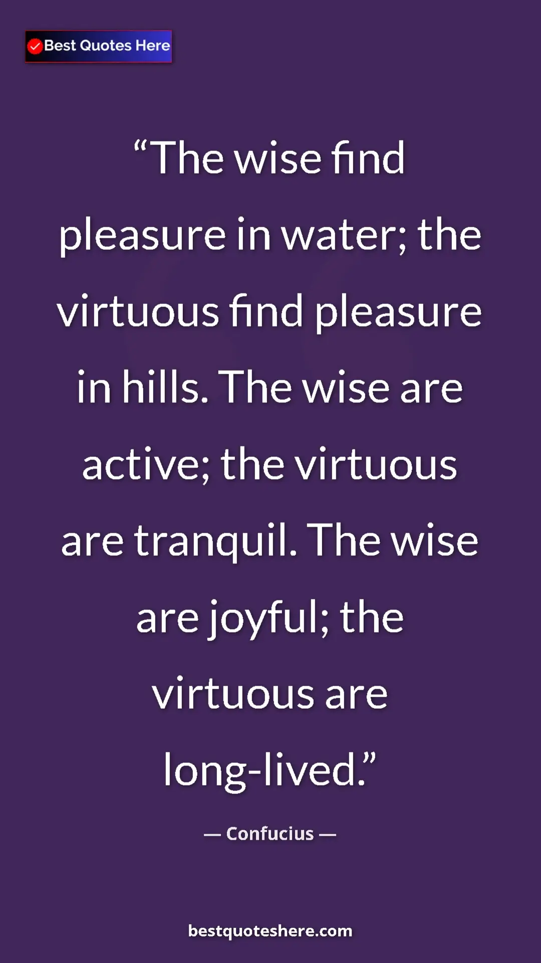 Pinterest quote poster by Confucius: "The wise find pleasure in water; the virtuous find pleasure..."