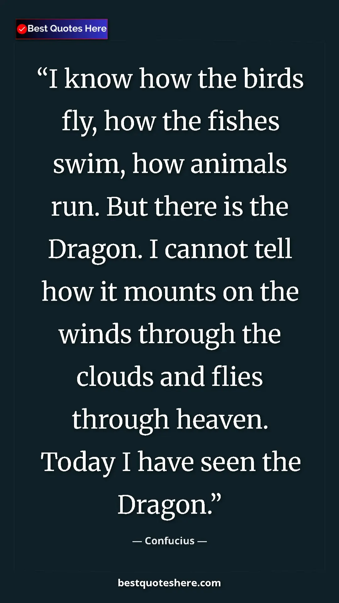 Pinterest quote poster by Confucius: "I know how the birds fly, how the fishes swim, how animals..."