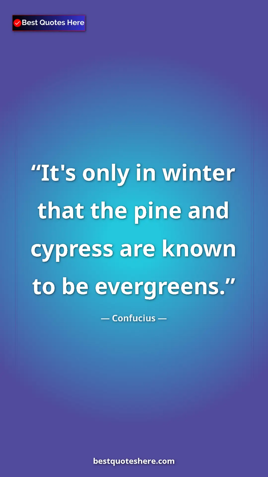 Pinterest quote poster by Confucius: "It's only in winter that the pine and cypress are known to..."