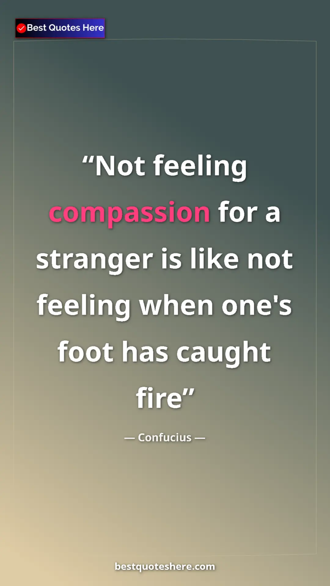 Pinterest quote poster by Confucius: "Not feeling compassion for a stranger is like not feeling..."