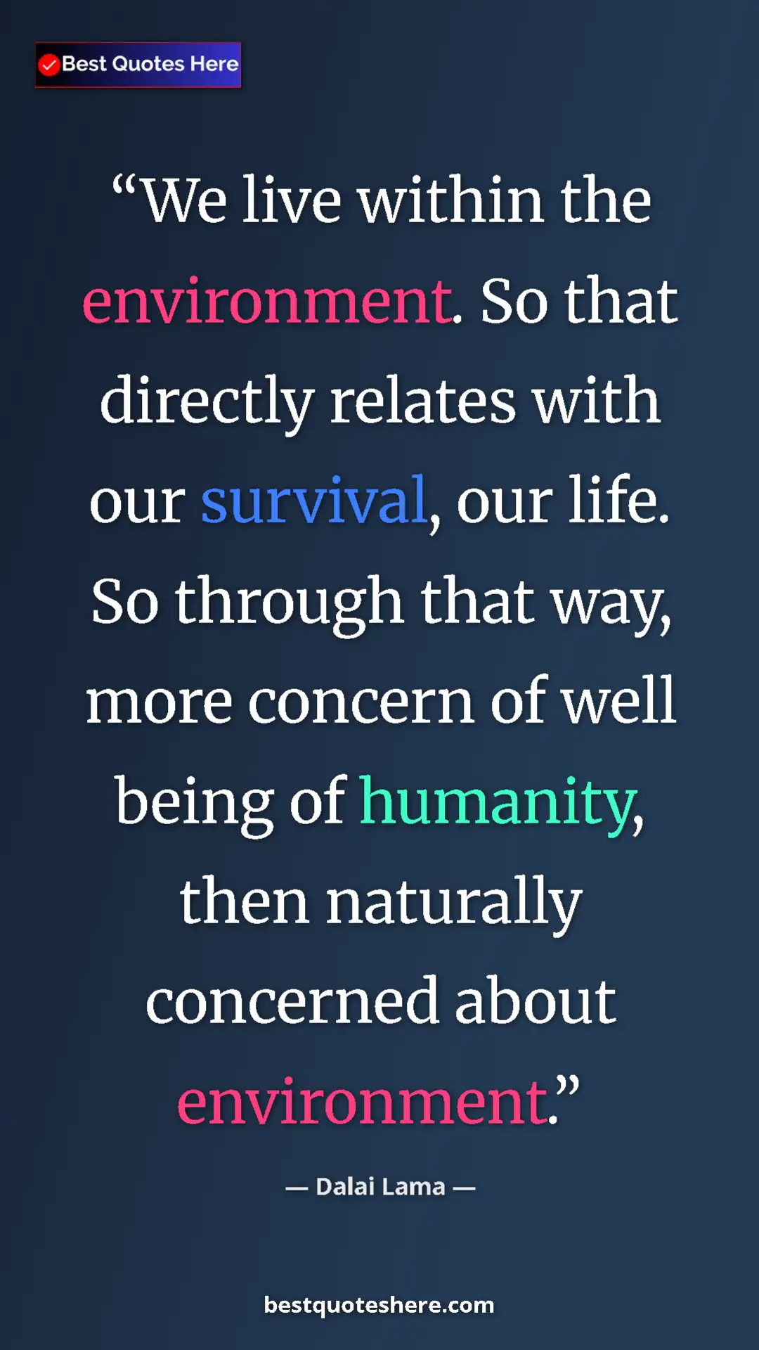 Pinterest quote poster by Dalai Lama: "We live within the environment. So that directly relates..."