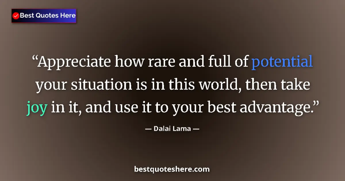 Image for the quote by Dalai Lama: Appreciate how rare and full of potential your situation is in this world, then take joy in it, and ...
