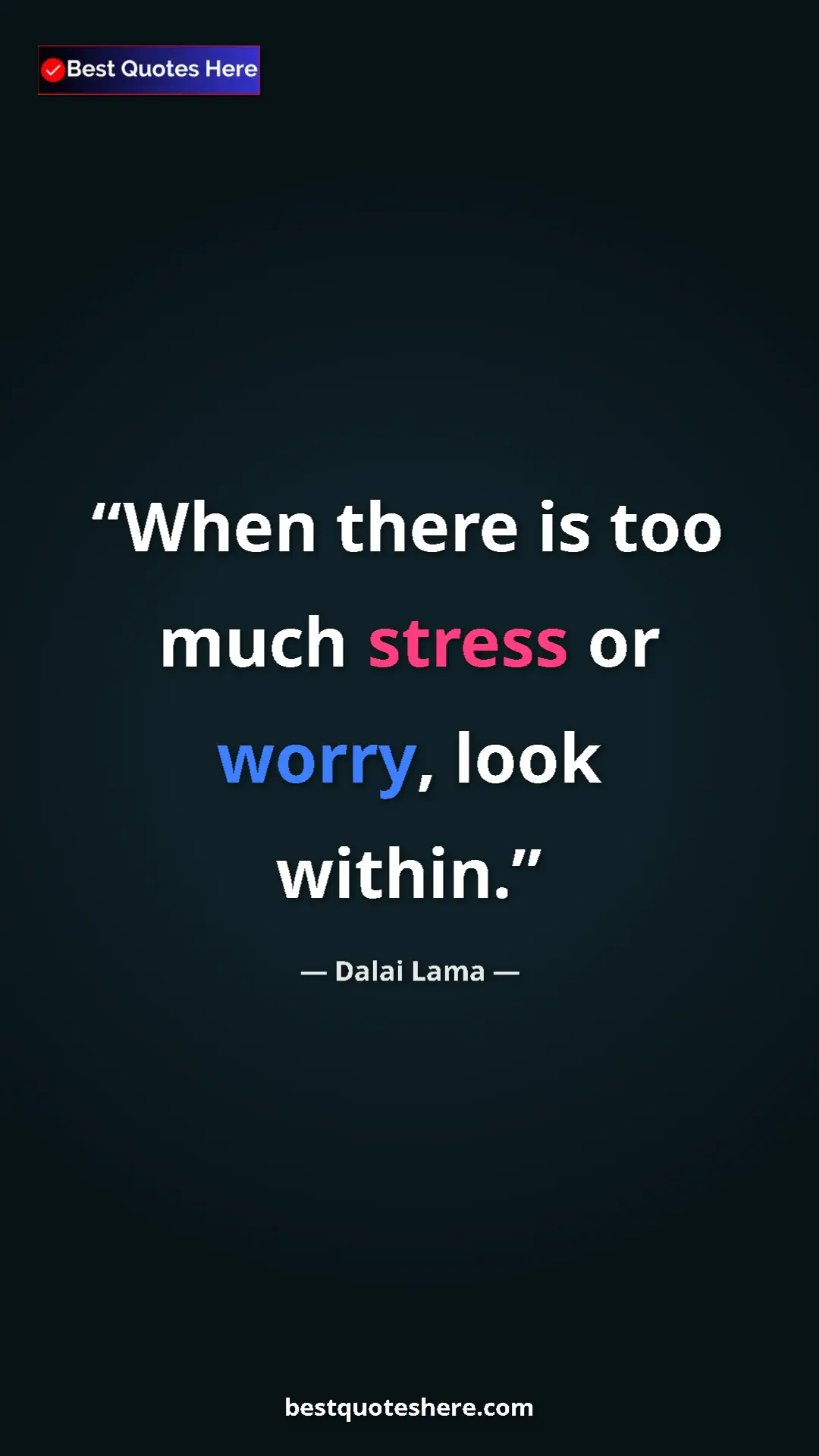Pinterest quote poster by Dalai Lama: "When there is too much stress or worry, look within."