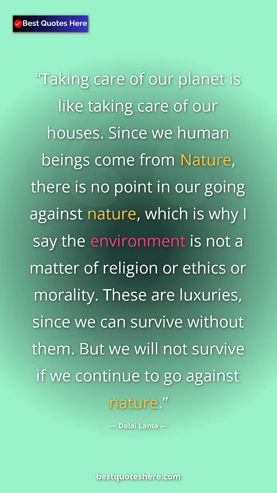 Pinterest quote poster by Dalai Lama: "Taking care of our planet is like taking care of our..."
