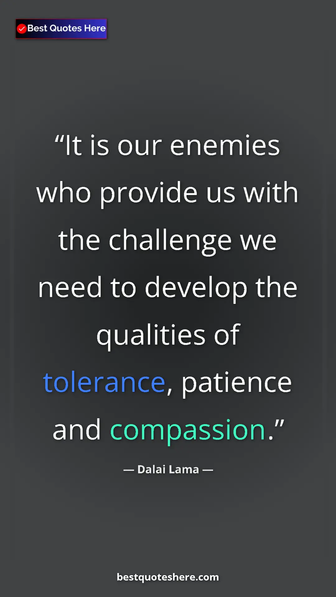 Pinterest quote poster by Dalai Lama: "It is our enemies who provide us with the challenge we need..."