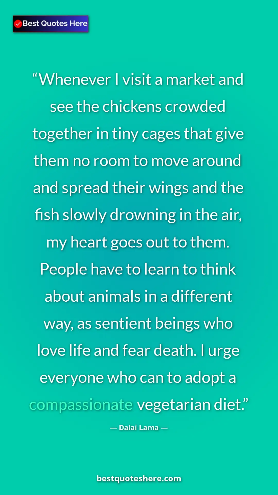 Dalai Lama Quote Card: "Whenever I visit a market and see the chickens crowded..." Pinterest quote poster by Dalai Lama: "Whenever I visit a market and see the chickens crowded..."