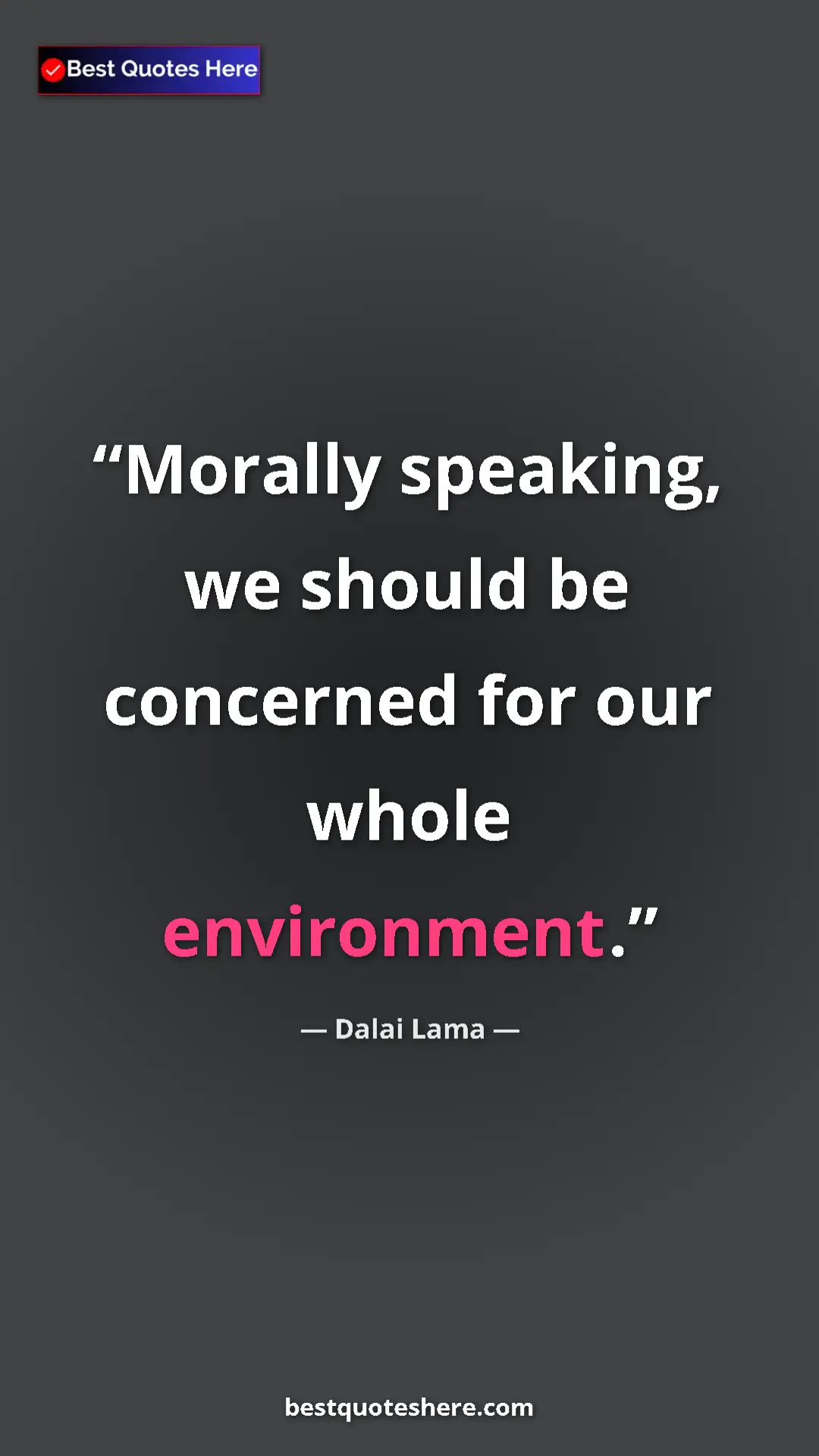 Pinterest quote poster by Dalai Lama: "Morally speaking, we should be concerned for our whole..."