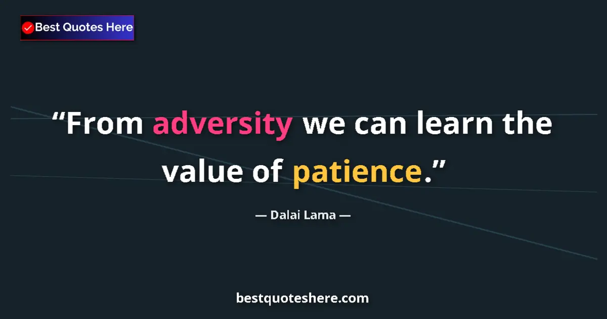 Image for the quote by Dalai Lama: From adversity we can learn the value of patience....