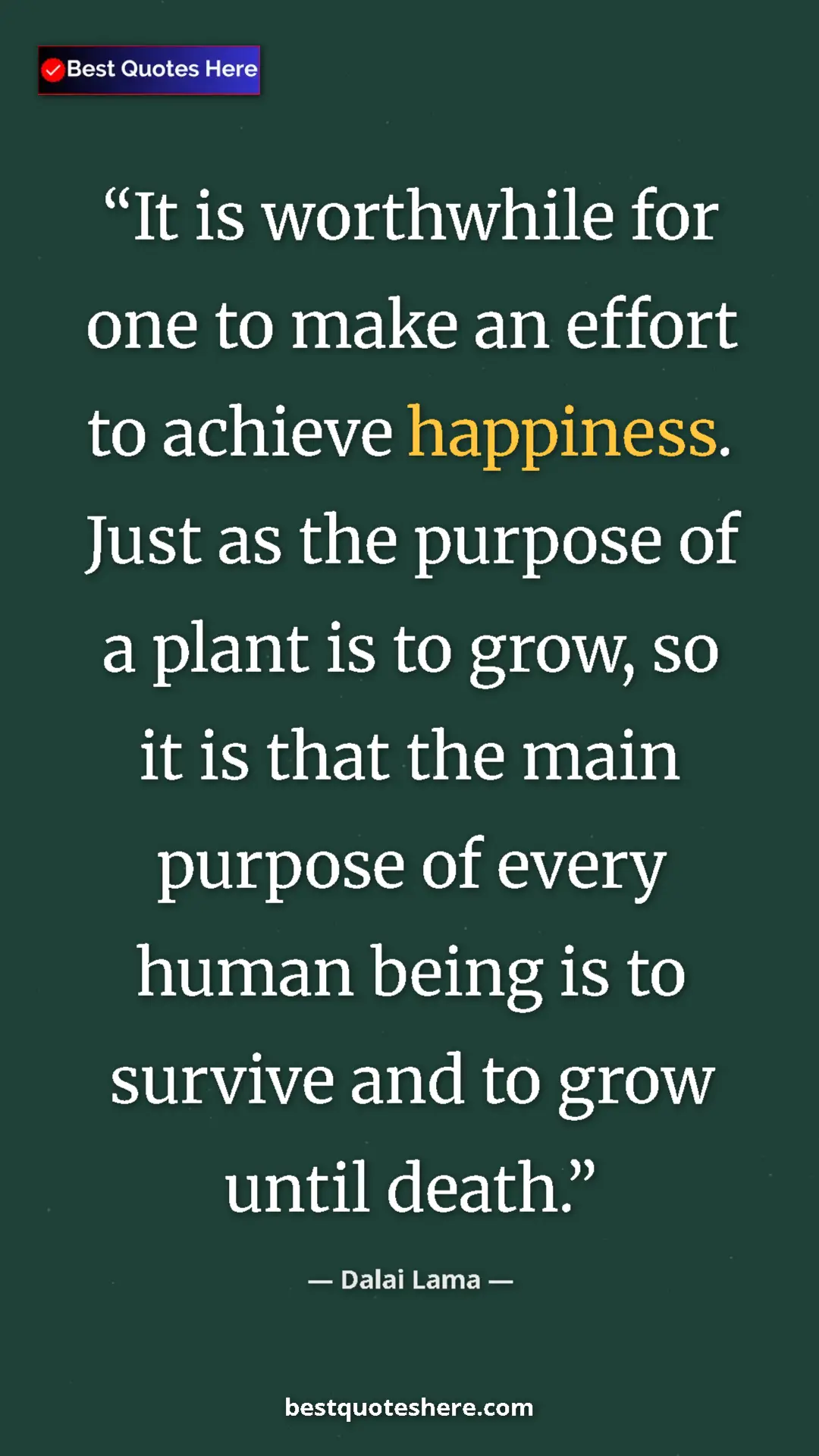 Dalai Lama Quote Card: "It is worthwhile for one to make an effort to achieve..." Pinterest quote poster by Dalai Lama: "It is worthwhile for one to make an effort to achieve..."
