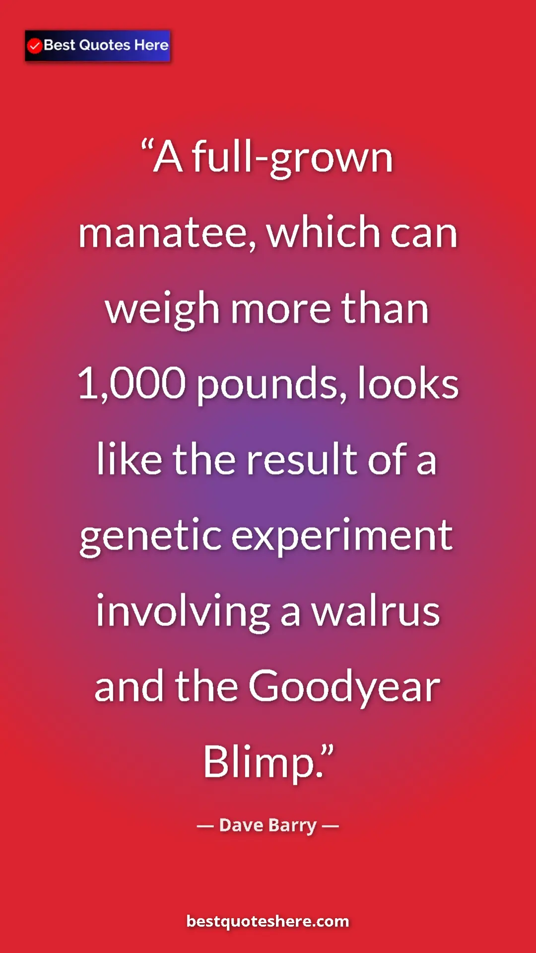 Pinterest quote poster by Dave Barry: "A full-grown manatee, which can weigh more than 1,000..."
