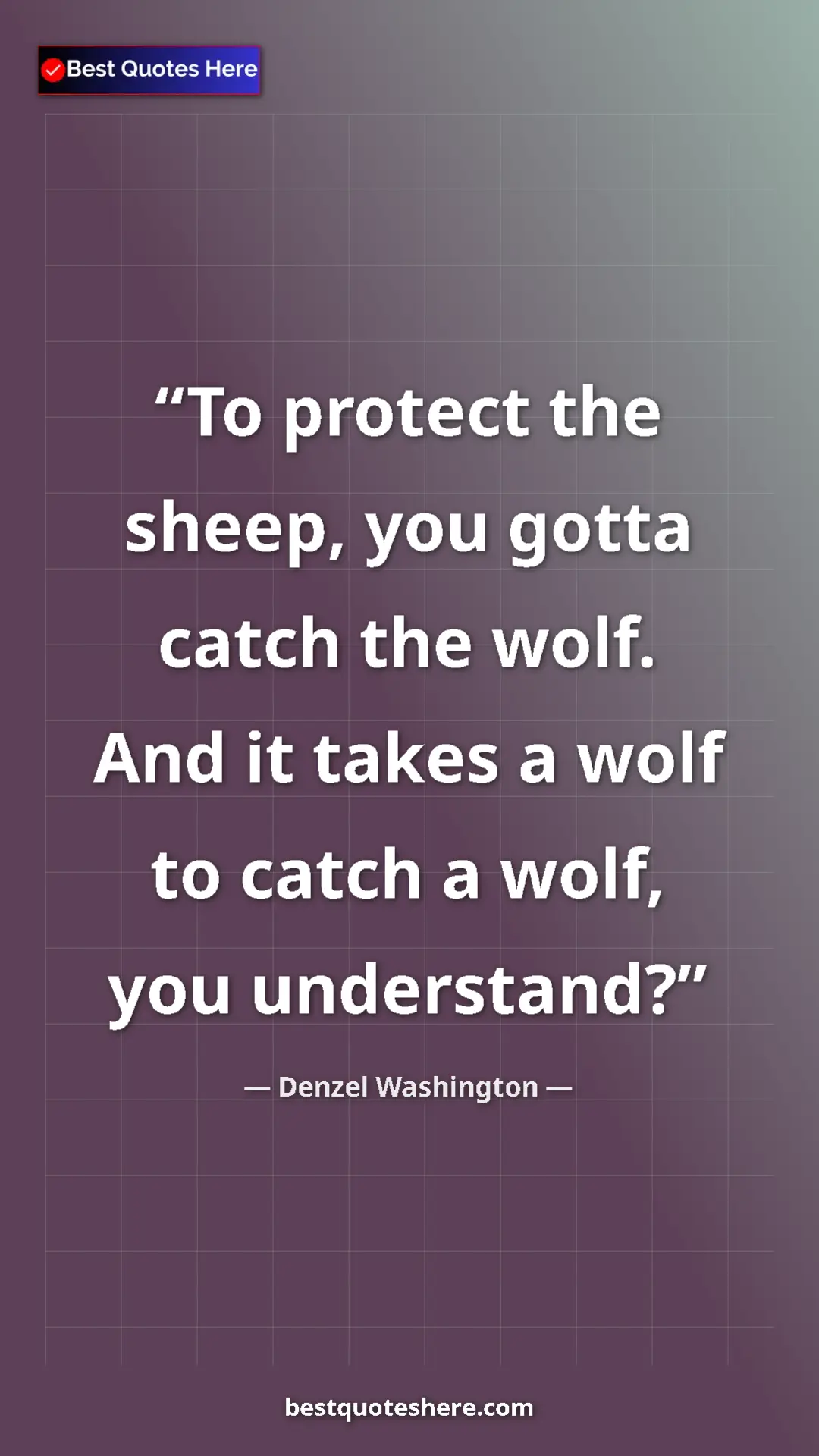 Pinterest quote poster by Denzel Washington: "To protect the sheep, you gotta catch the wolf. And it..."